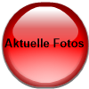 Aktuelle Fotos